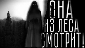 Она из леса смотрит. Страшные истории на ночь. Мистика. Страшилки на ночь.