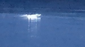 свимер 400 звезда на воде.