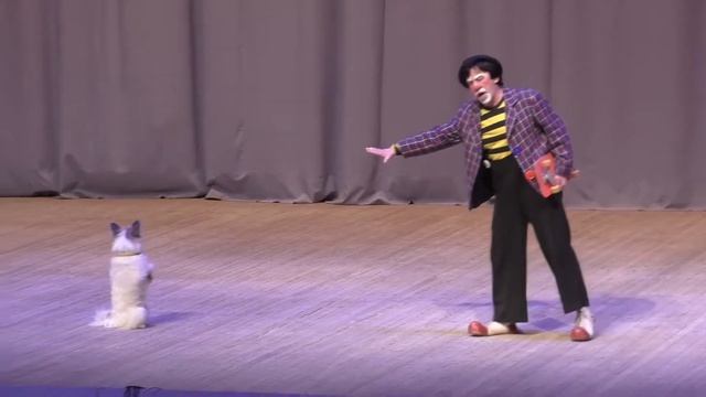 2015 12 05 В Цирке