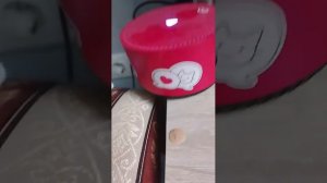 правда или действие с алисой