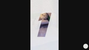 Побег хомячка из лабиринта — эпичный побег с ловушками и трюками!