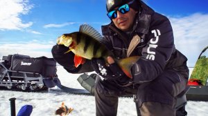 Батя мечтал о такой рыбалке! Крупный окунь. Налим и щука на жерлицы. Тяжелая дорога. Ч.3