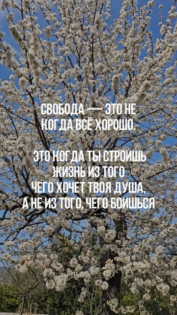 Большинство решений ты принимаешь не из желания,
а чтобы не стало хуже.
