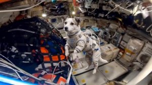 65 лет назад Юрий Гагарин сказал: «Поехали!» 🚀