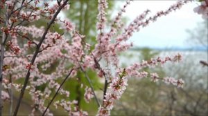 Никогда не вытряхивайте кошелёк 10 апреля. Главный запрет дня.