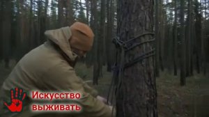 Залезаем на любое дерево без веток