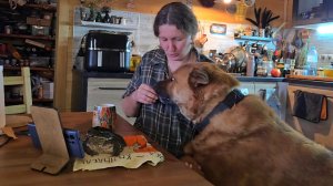 Стрим с кошкой Морошкой, псом Кубиком, жабой Брунгильдой и разговорчиками. Запись с Ютуба 9.04.26