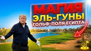 Магия Эль‑Гуны: гольф‑поля под лазурным небом Египта