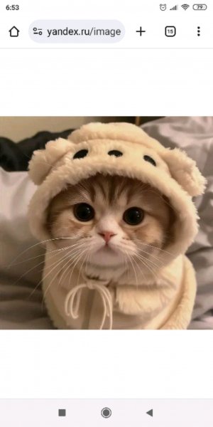 подпишись🙏❤️❤️❤️❤️🌷🌷🤗