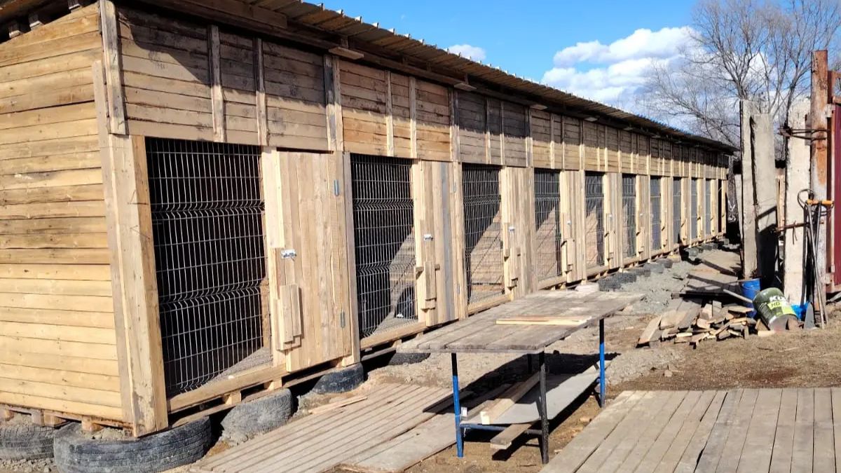 Внимание, стройка! Построено еще 11 вольеров. Нужно еще 20