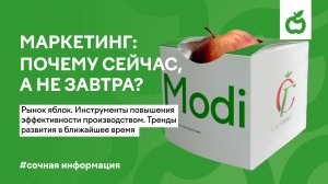 Маркетинг: почему сейчас,  а не завтра?