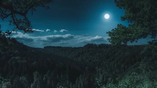 Антистресс: пение соловья для сна и отдыха