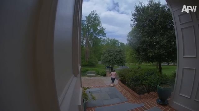 America's Funniest Home Videos. THIS IS WHY HE WON'T DO THAT AGAIN _ Funniest Viral Videos