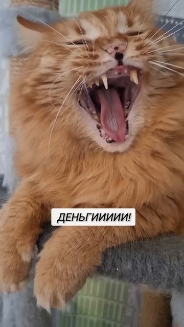 Лучший способ избавиться от мошенников