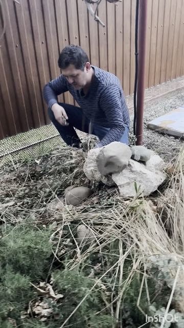 Вот и порядок навёл!