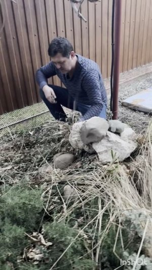 Вот и порядок навёл!