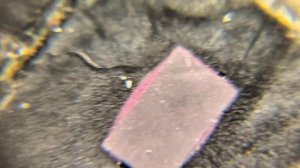 Что находится в сим - карте