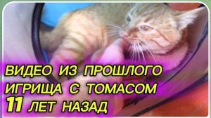 САМВЕЛ АДАМЯН, ПО ПРОСЬБАМ ЗРИТЕЛЕЙ, ИГРИЩА С ТОМАСОМ, 11 ЛЕТ НАЗАД..