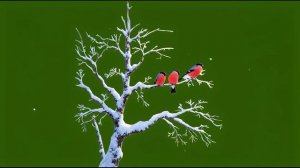 Снегири на дереве 4_encoded