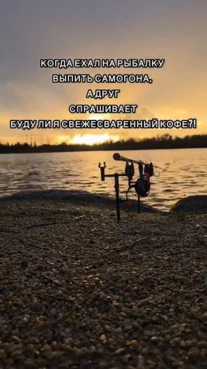 Клип @zatropheem