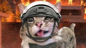 Играю в плейс мертвые рельсы в роблокс