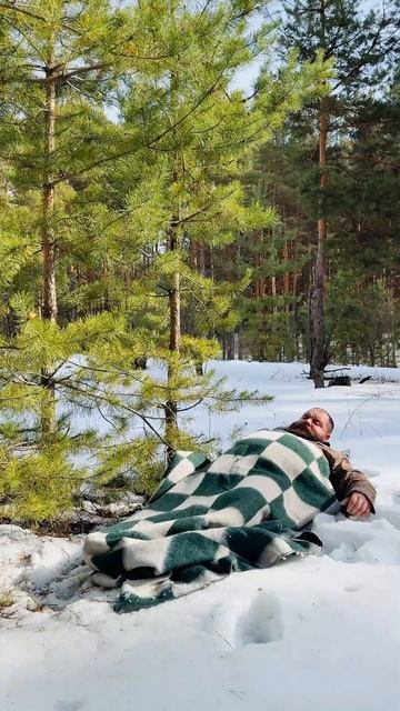 Сплю на снегу, медведь разбудил