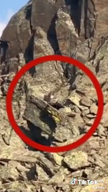 Увидел Гнома