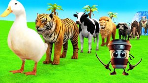 Мультики про диких животных. Яркие дикие животные и браинроты. Смотреть онлайн Мультики для детей.