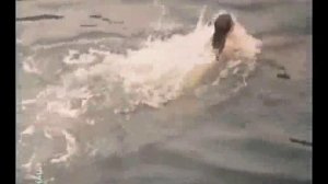 Галина БЕЛЯЕВА и пегас ( Всё решает мгновение 1975)