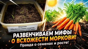 Хотите, чтобы семена моркови взошли не через три недели, а на 8-9 день!