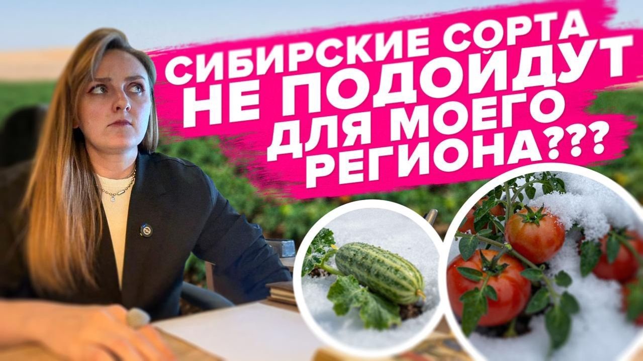 ПОДОЙДУТ ЛИ СИБИРСКИЕ СОРТА ДЛЯ ДРУГИХ РЕГИОНОВ