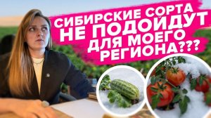 ПОДОЙДУТ ЛИ СИБИРСКИЕ СОРТА ДЛЯ ДРУГИХ РЕГИОНОВ
