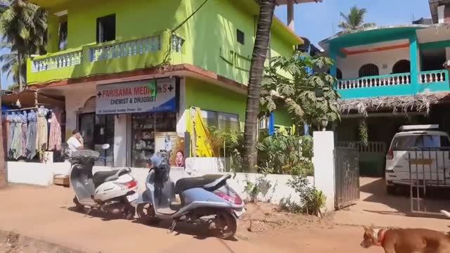 8. ГОА! Направили на УЗИ. Рыбный рынок. Кингфишера нет!