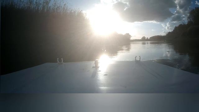 секретный форватер