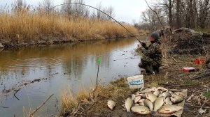 ЗАБЫТЫЙ РУЧЕЙ ПОЛНЫЙ КАРАСЯ ЗА КИЛО рыбалка весной на поплавок
