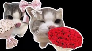 Милана луквей