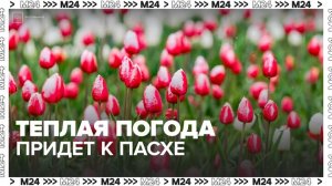 Теплая погода придет в Москву к Пасхе - Москва 24
