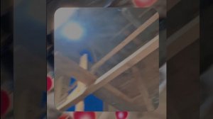 1000055613.mp4 (Собака наблюдает за устройством лестницы на 2-ой этаж в доме А-фрейм)