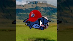 Тренд крутящийся летающий кот