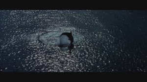 ГОЛУБАЯ БЕЗДНА