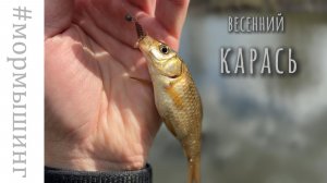 Мормышинг на лесном пруду. КАРАСЬ НА СПИННИНГ!