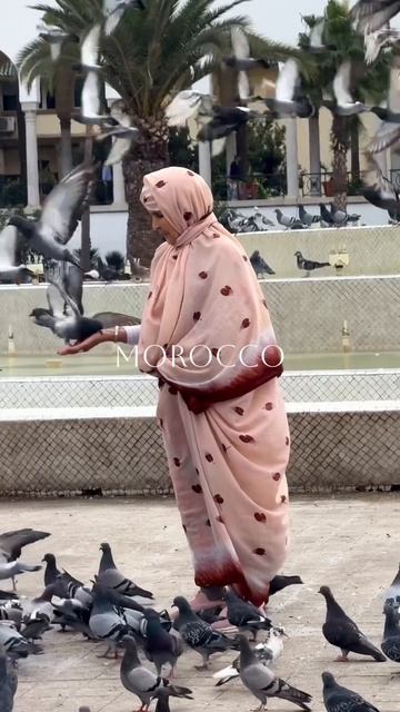 Морокко 🇲🇦