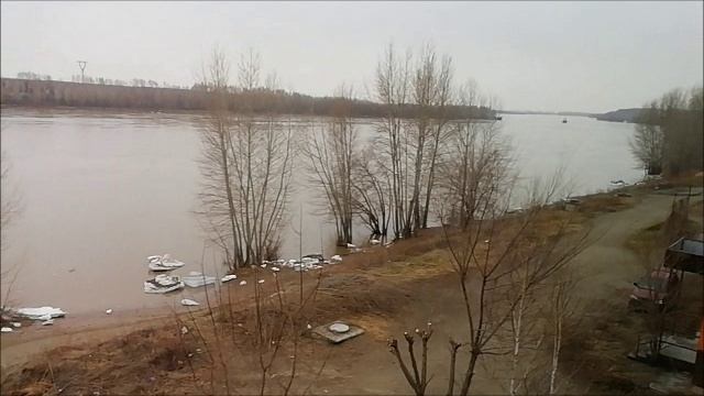 р. Бия  10.04.2026 / у природы нет плохой погоды ?