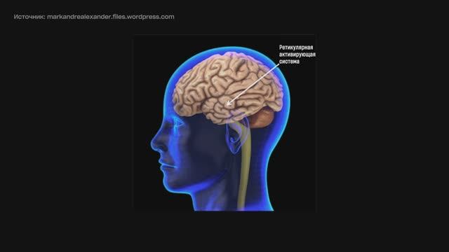 03 Создайте свой опыт