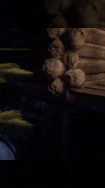 That's why this game ... well you know #rdr2 #arthurmorgan