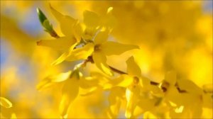 Роковая ошибка 10 апреля. Что категорически нельзя делать.