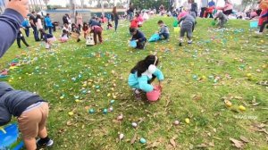 Easter Egg Hunt. Easter traditions. ESL_ESOL video A1-A2