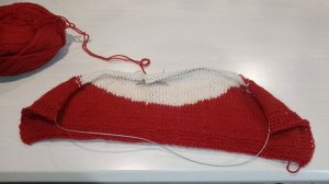 Триостарты Апреля. Старт 3-плед с цыпленком.