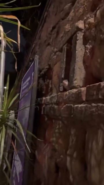 А что у вас тут происходит?