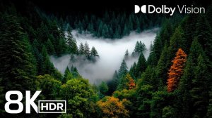 САМОЕ ПОТРЯСАЮЩЕЕ ВИДЕО В РАЗРЕШЕНИИ 8K HDR | DOLBY VISION 60 КАДР/СЕКУНД ДЛЯ ТЕЛЕВИЗОРОВ 4K.